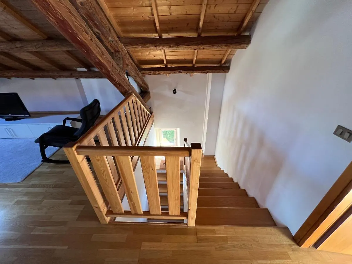 Apartment Visentin - Meraviglioso Attico In Legno Visome